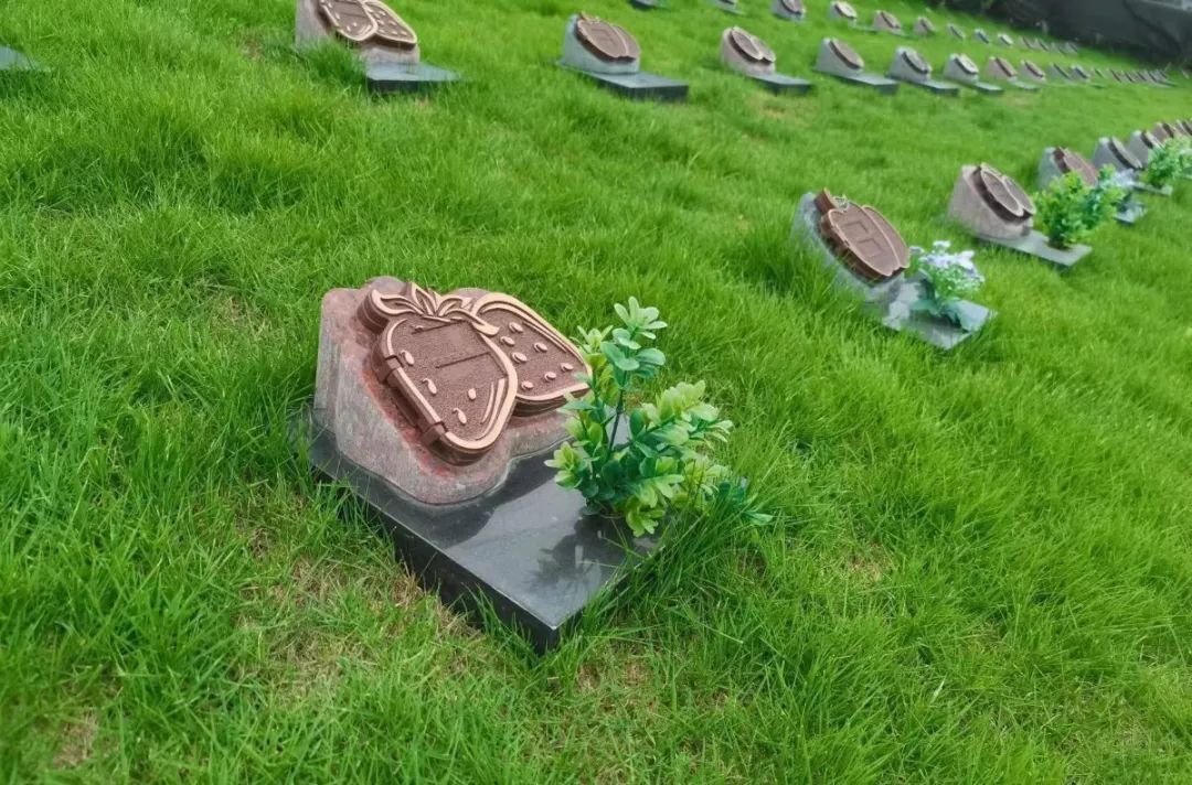 亿万先生MR·(中国集团)官方网站