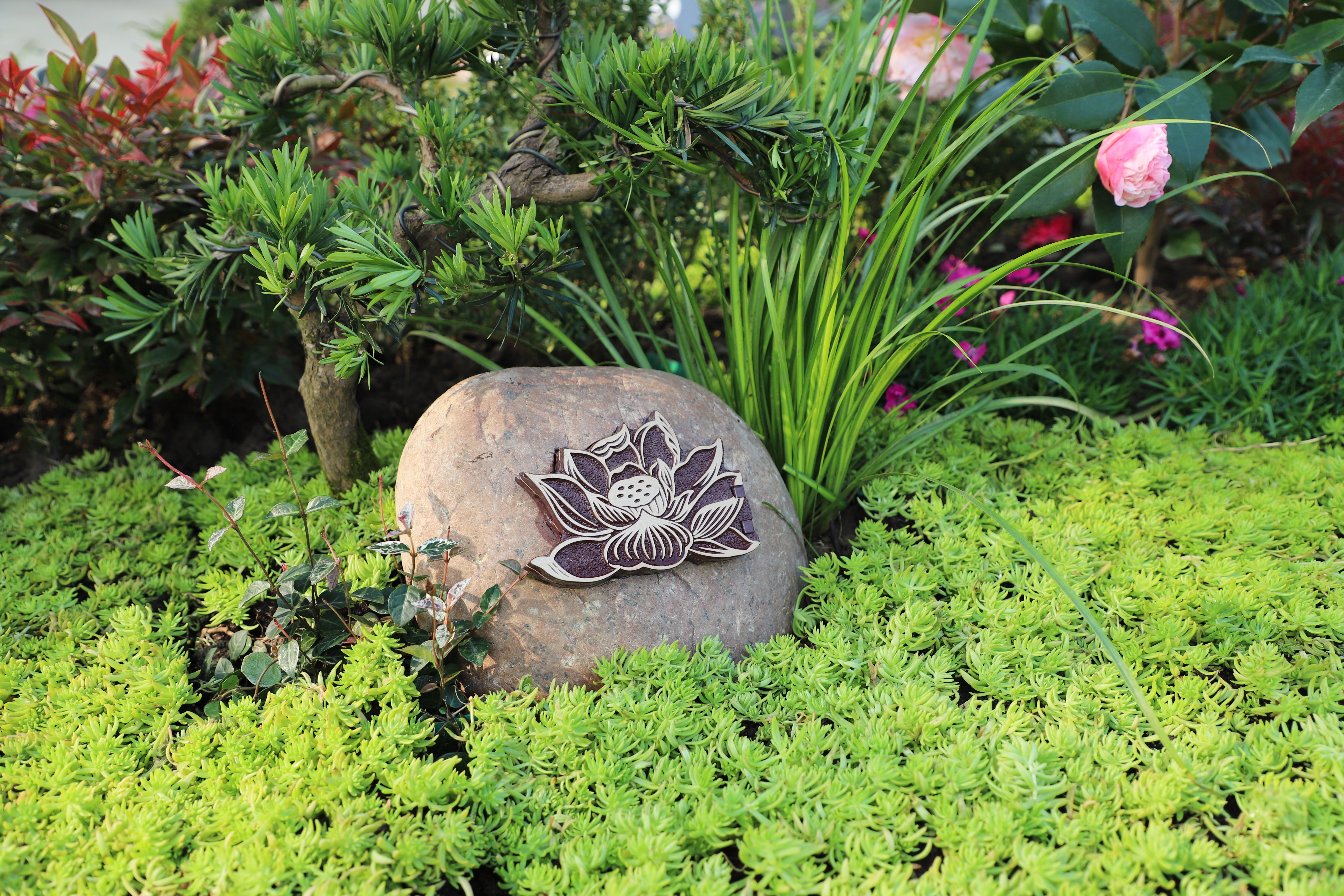 亿万先生MR·(中国集团)官方网站