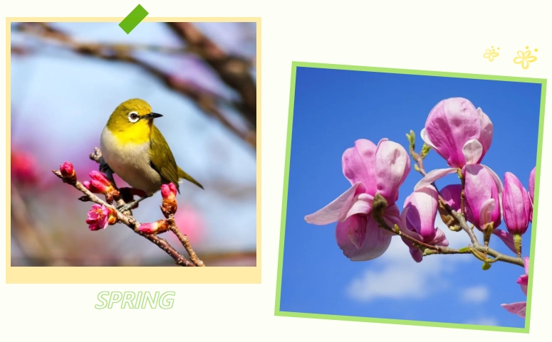 亿万先生MR·(中国集团)官方网站