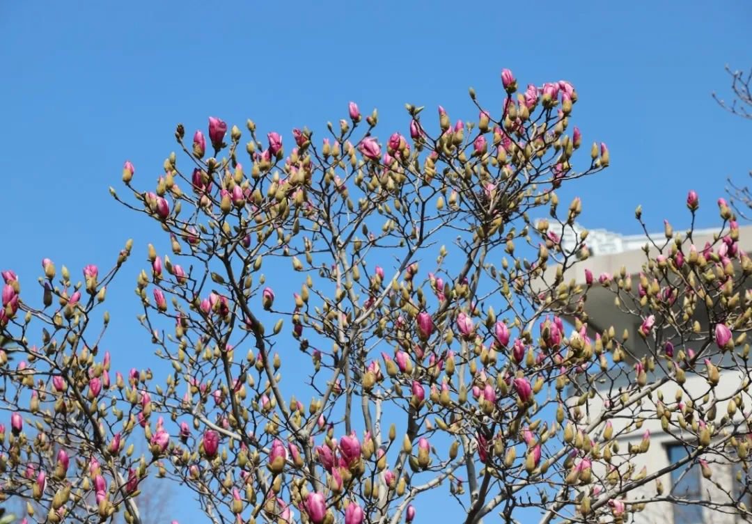 亿万先生MR·(中国集团)官方网站