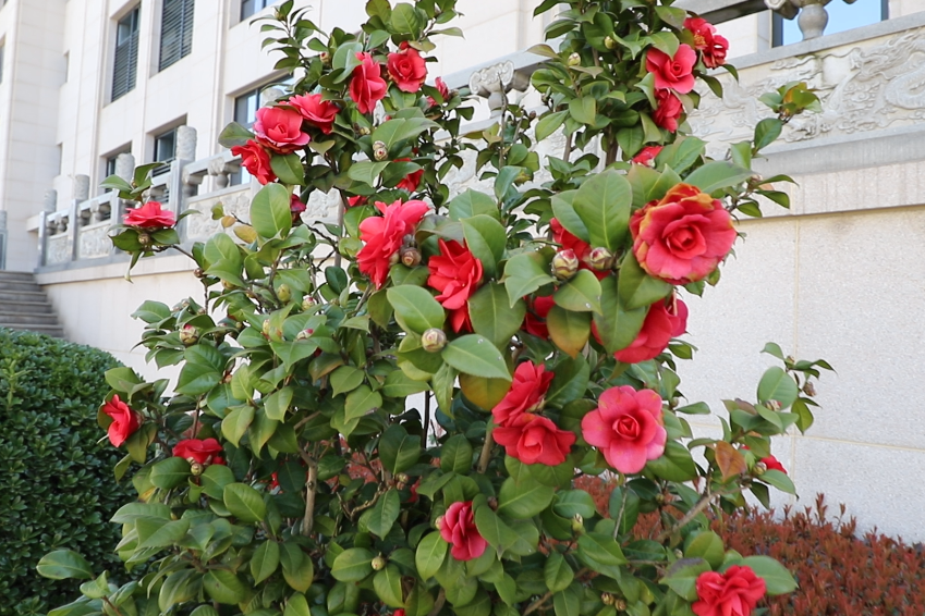 亿万先生MR·(中国集团)官方网站