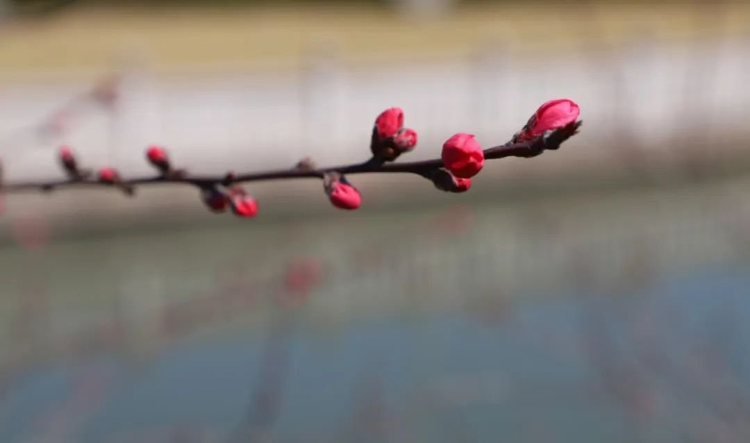 亿万先生MR·(中国集团)官方网站