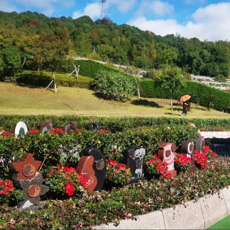 亿万先生MR·(中国集团)官方网站