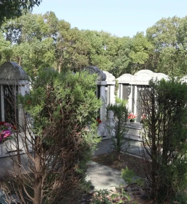 亿万先生MR·(中国集团)官方网站