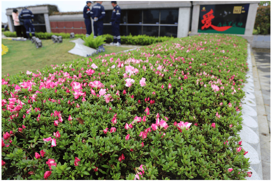 亿万先生MR·(中国集团)官方网站