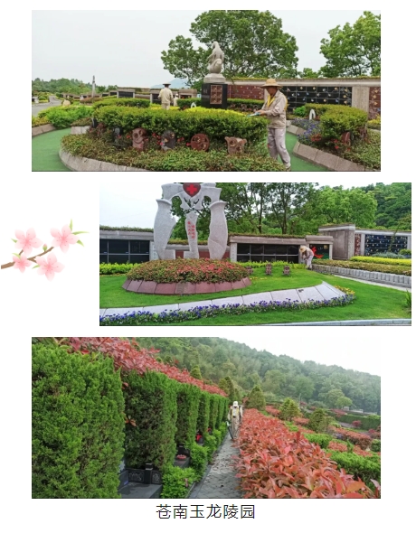 亿万先生MR·(中国集团)官方网站