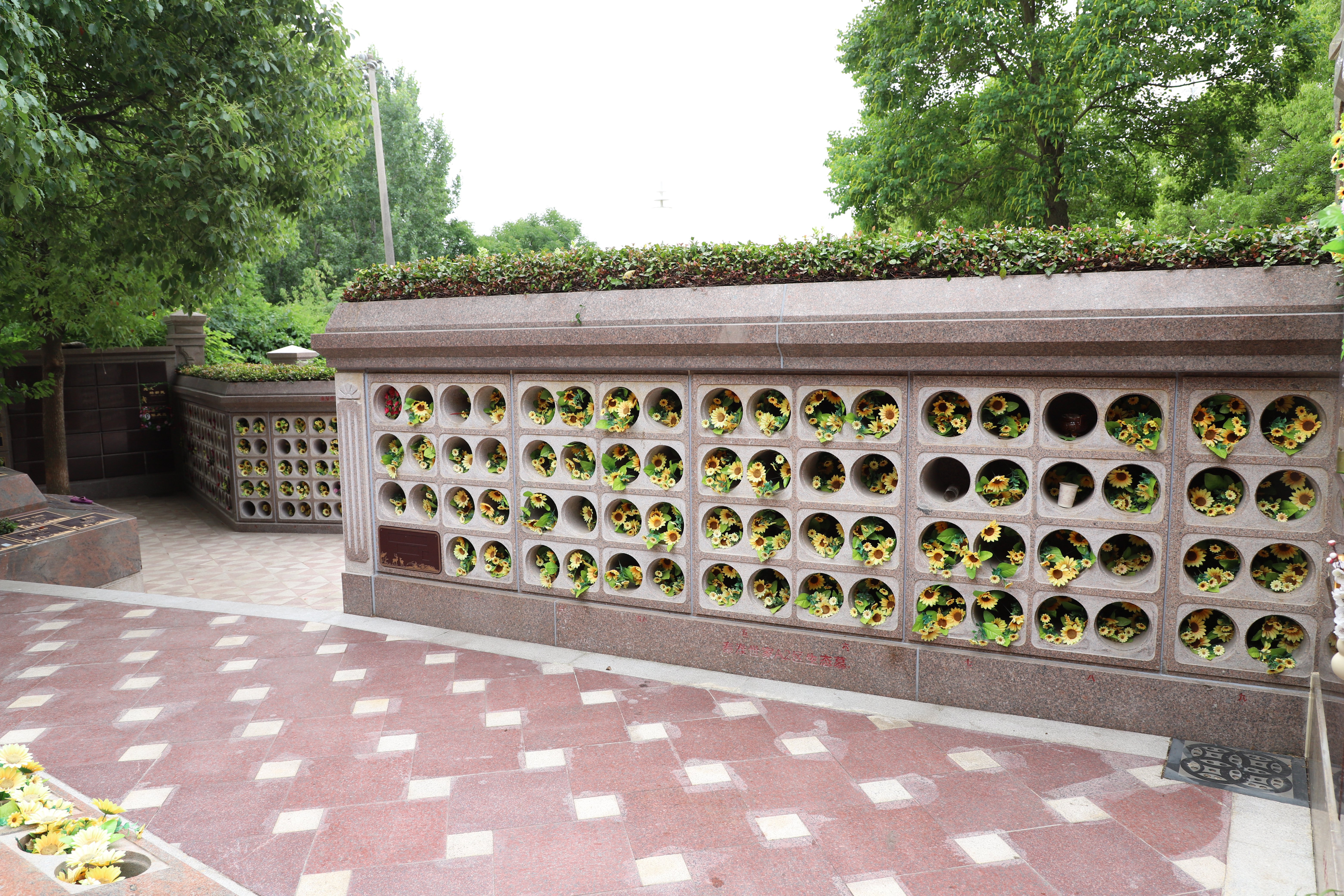 亿万先生MR·(中国集团)官方网站