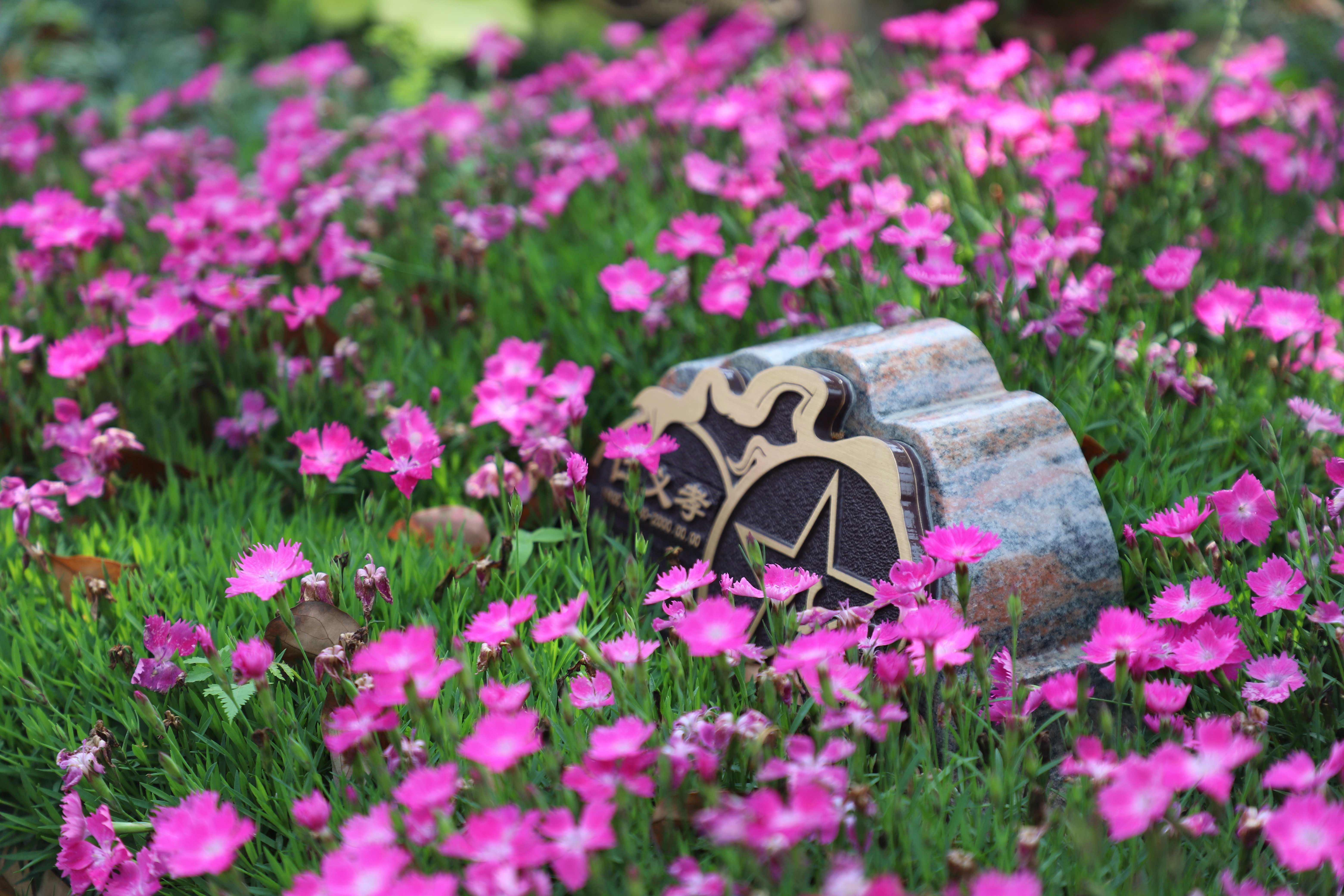 亿万先生MR·(中国集团)官方网站