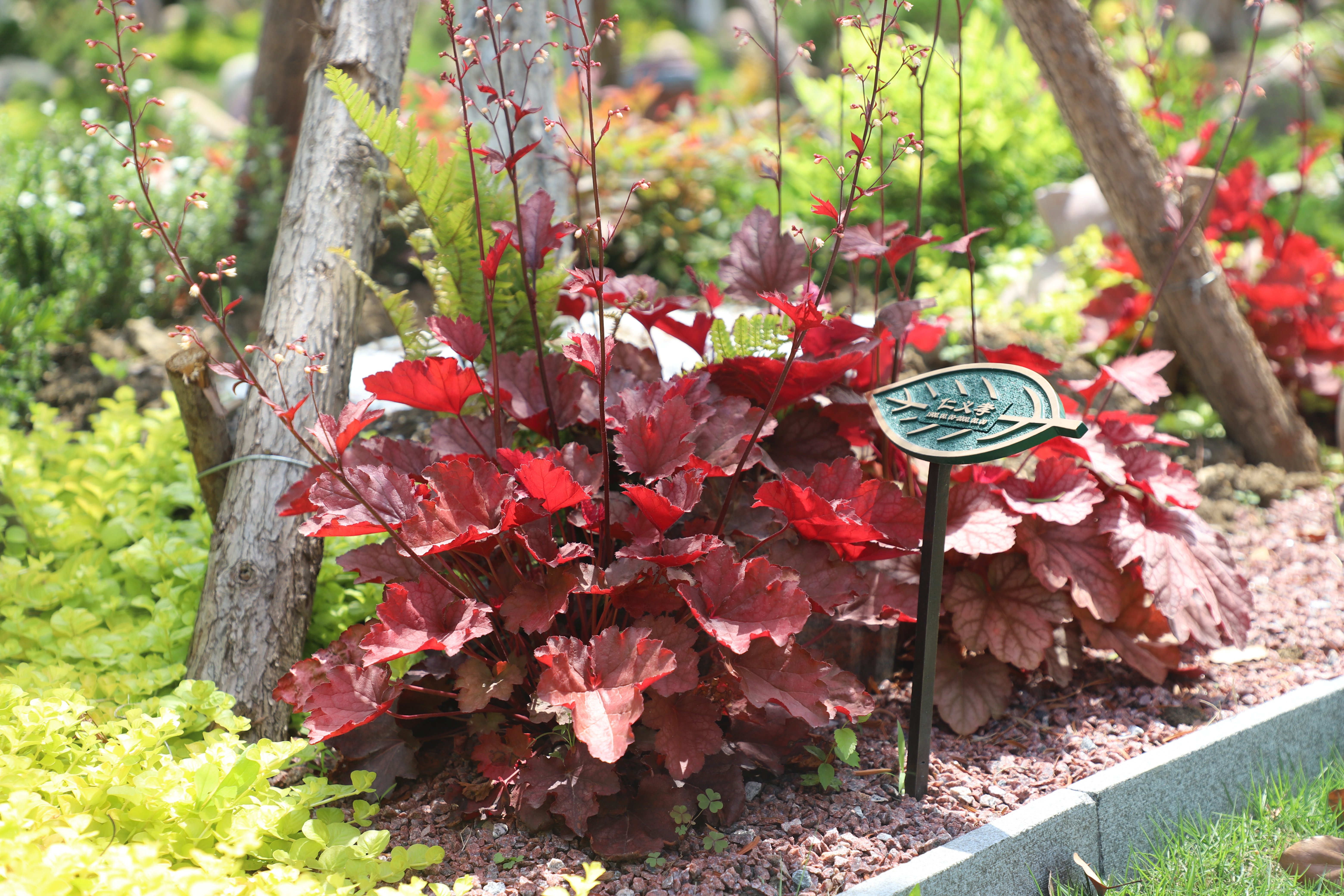 亿万先生MR·(中国集团)官方网站