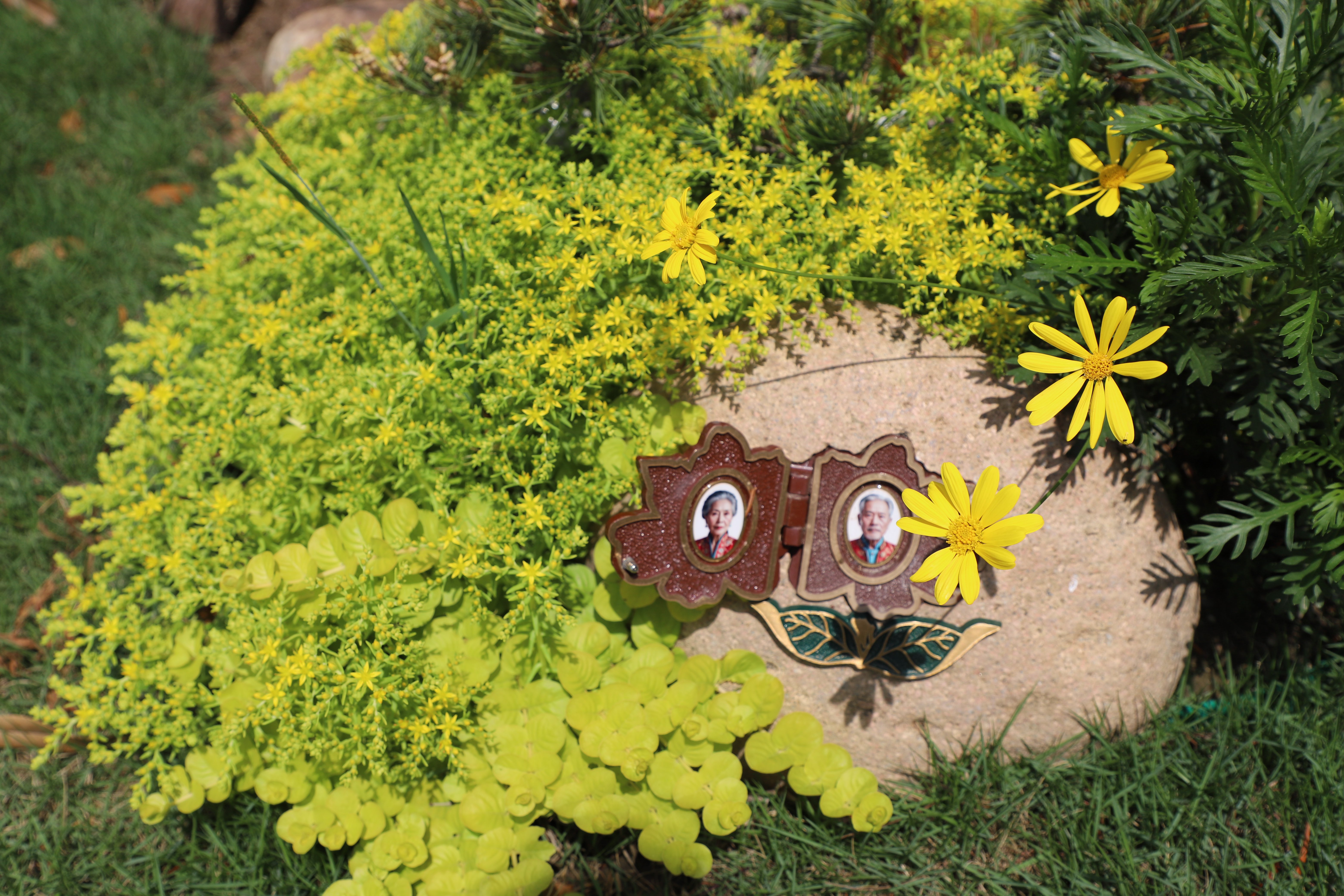 亿万先生MR·(中国集团)官方网站