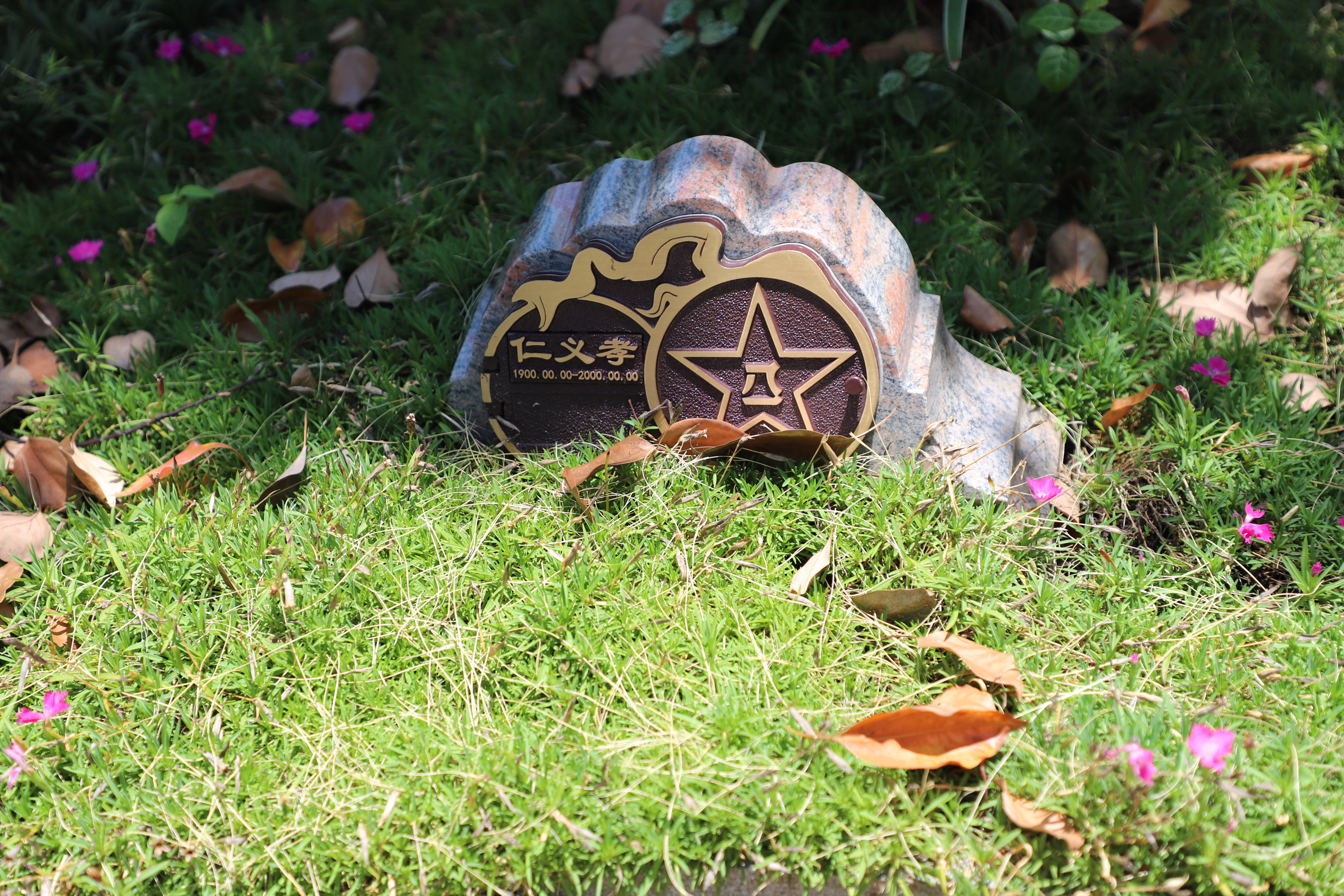 亿万先生MR·(中国集团)官方网站