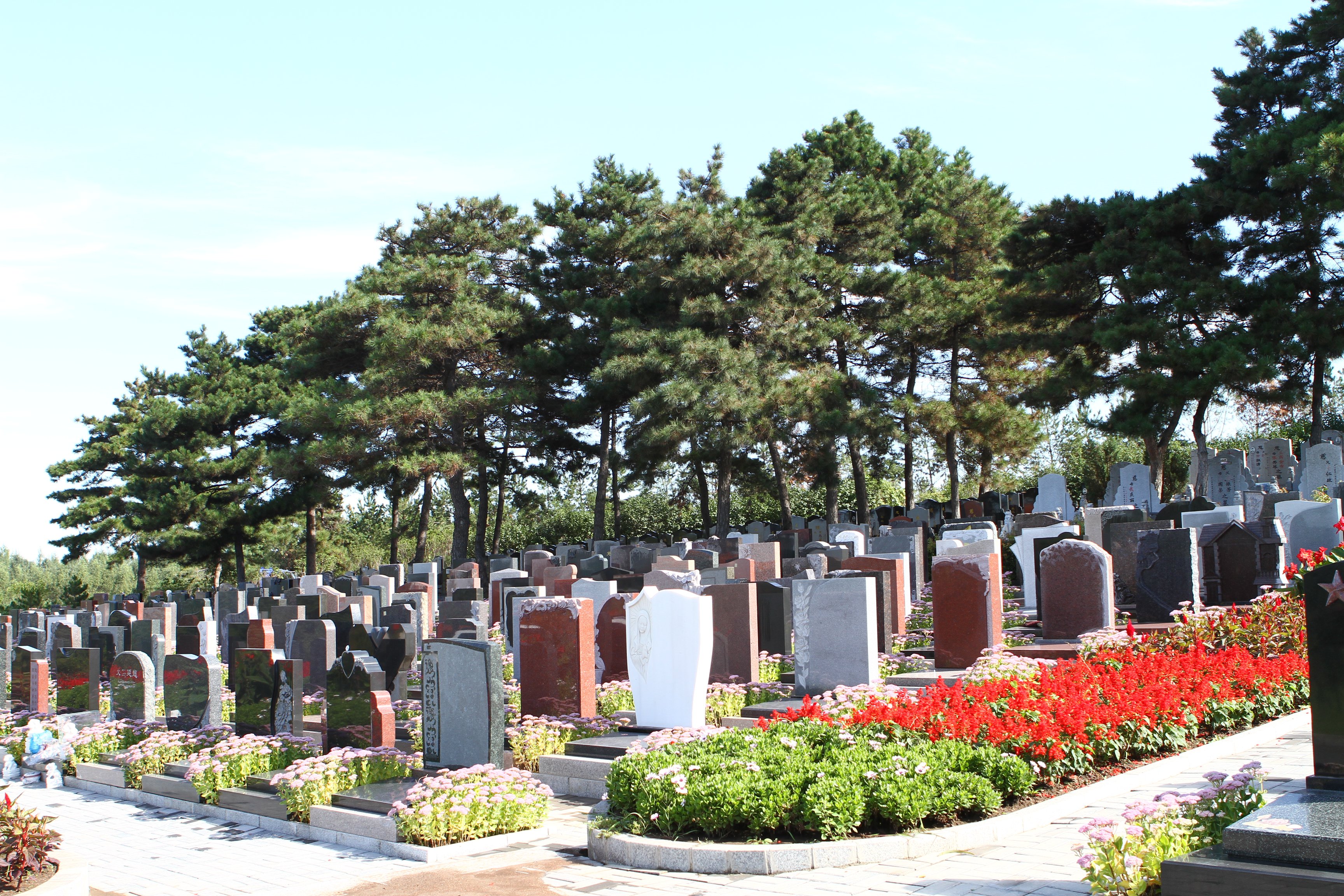 亿万先生MR·(中国集团)官方网站