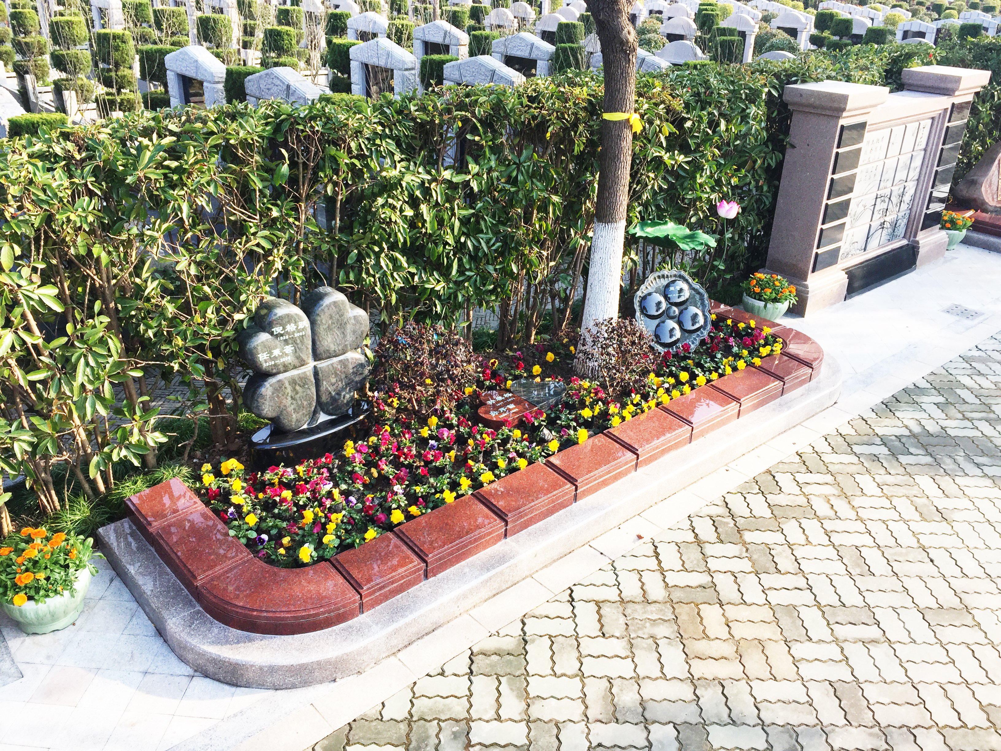 亿万先生MR·(中国集团)官方网站