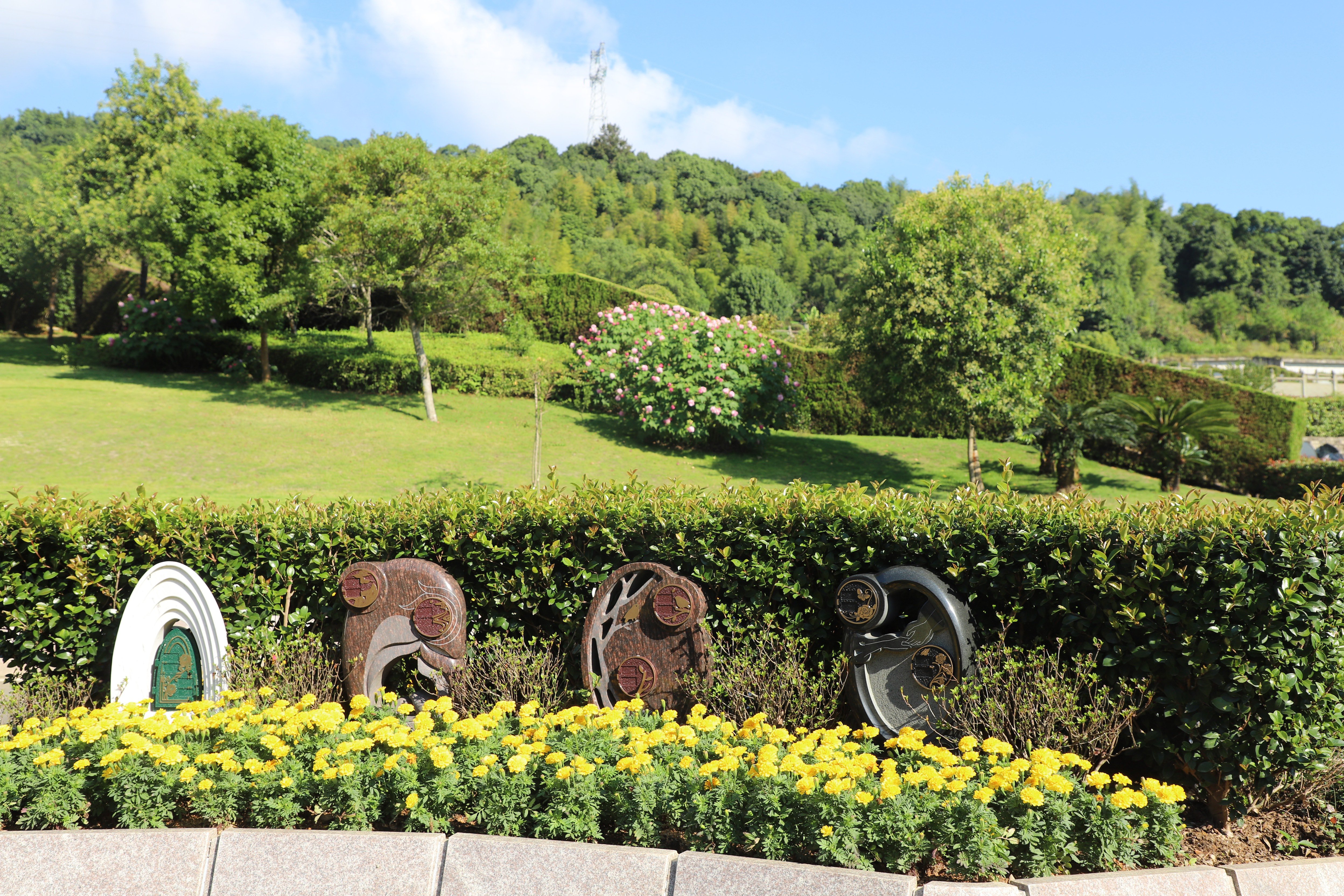 亿万先生MR·(中国集团)官方网站