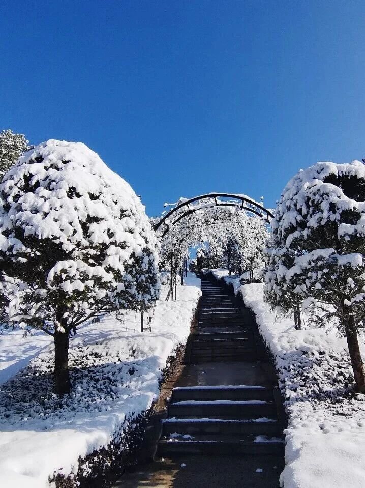 亿万先生MR·(中国集团)官方网站