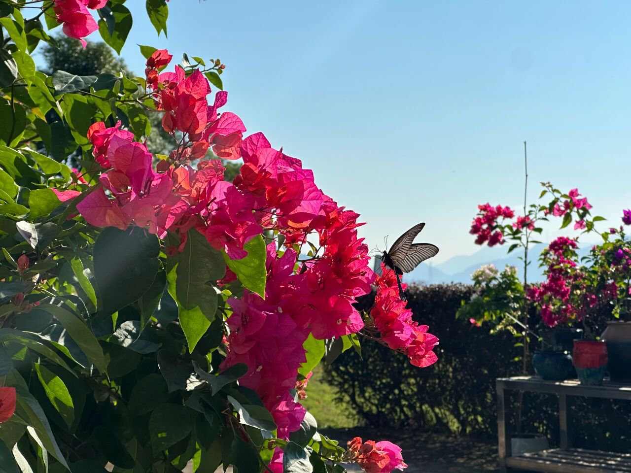 亿万先生MR·(中国集团)官方网站