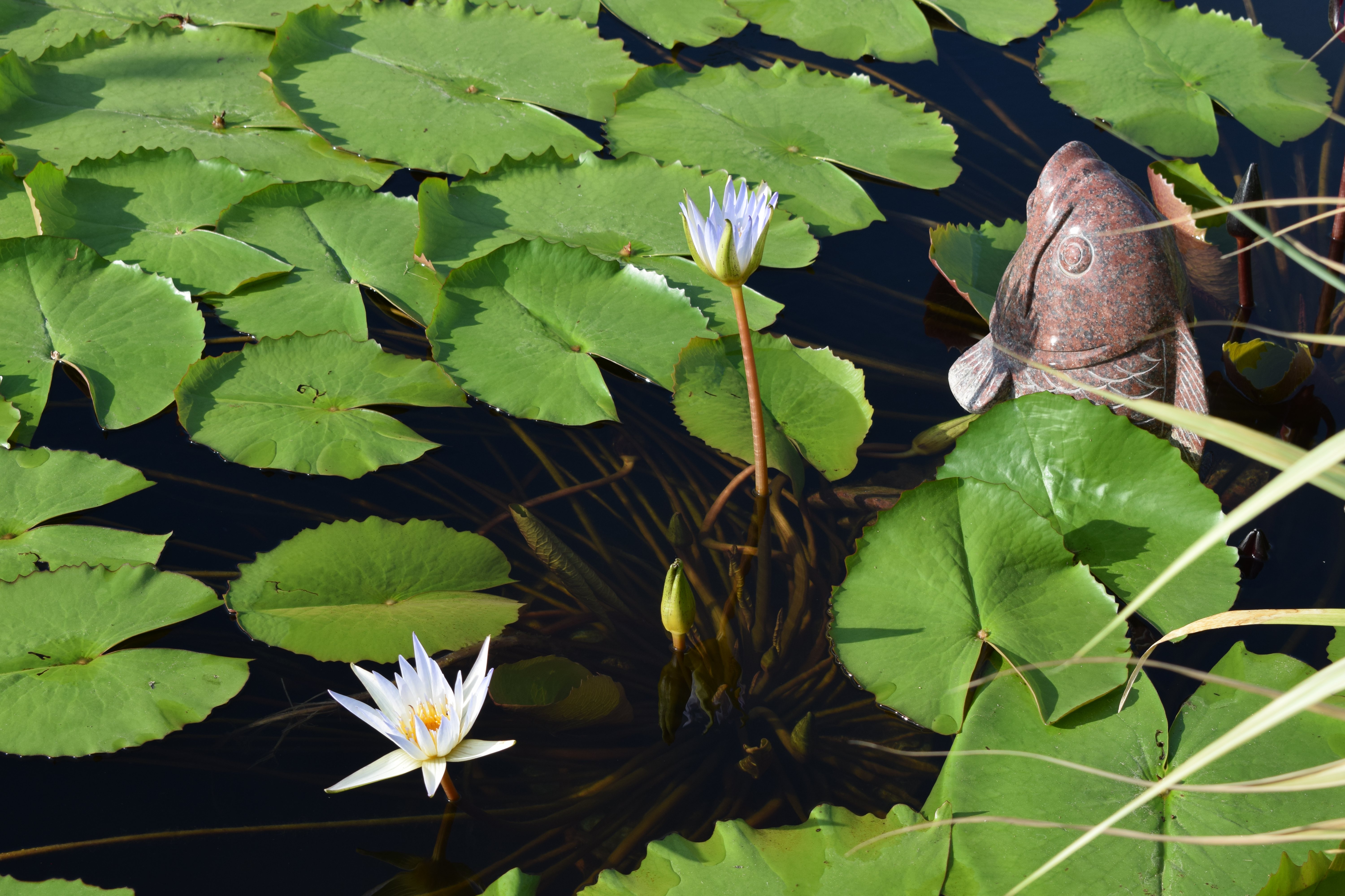 亿万先生MR·(中国集团)官方网站