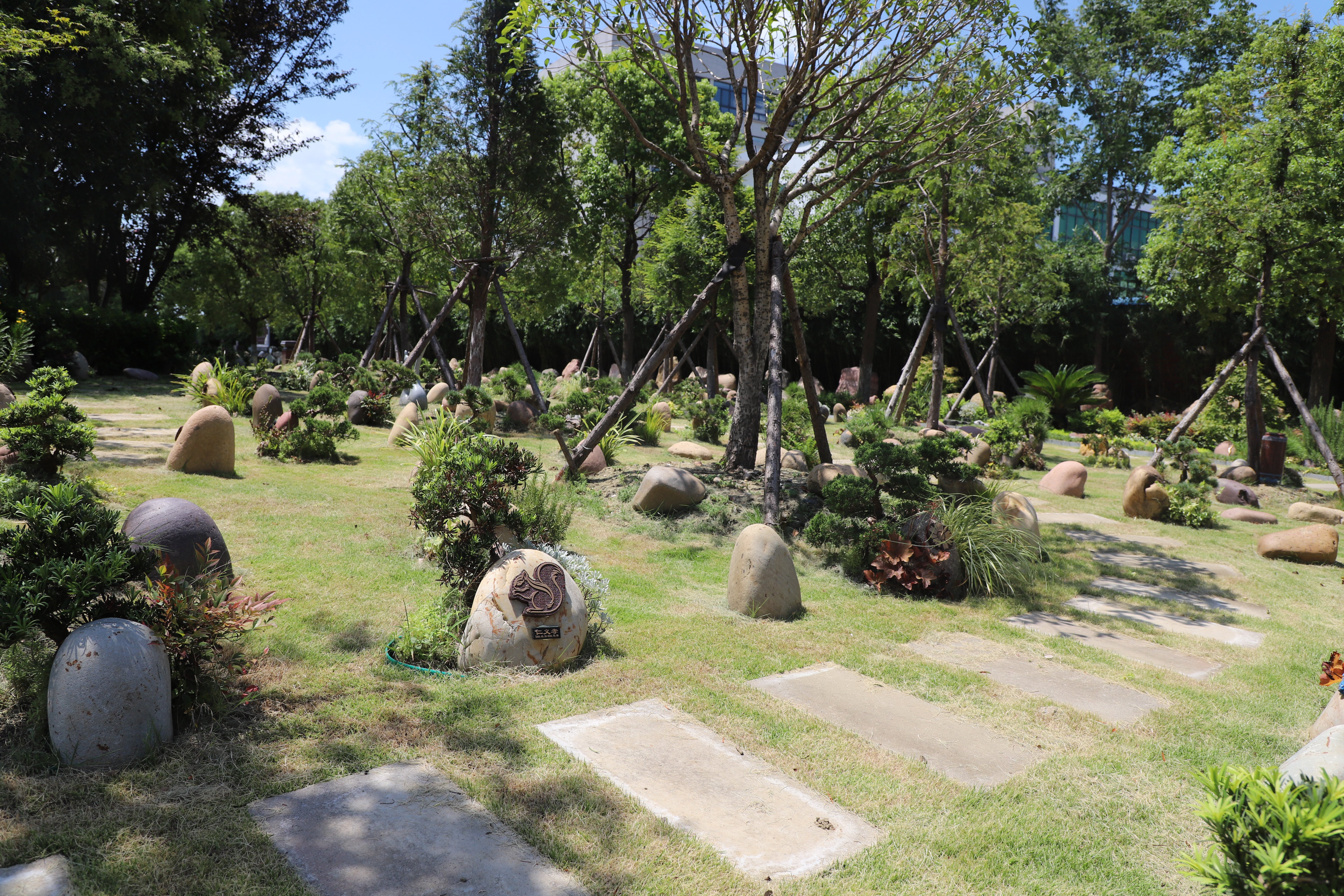 亿万先生MR·(中国集团)官方网站