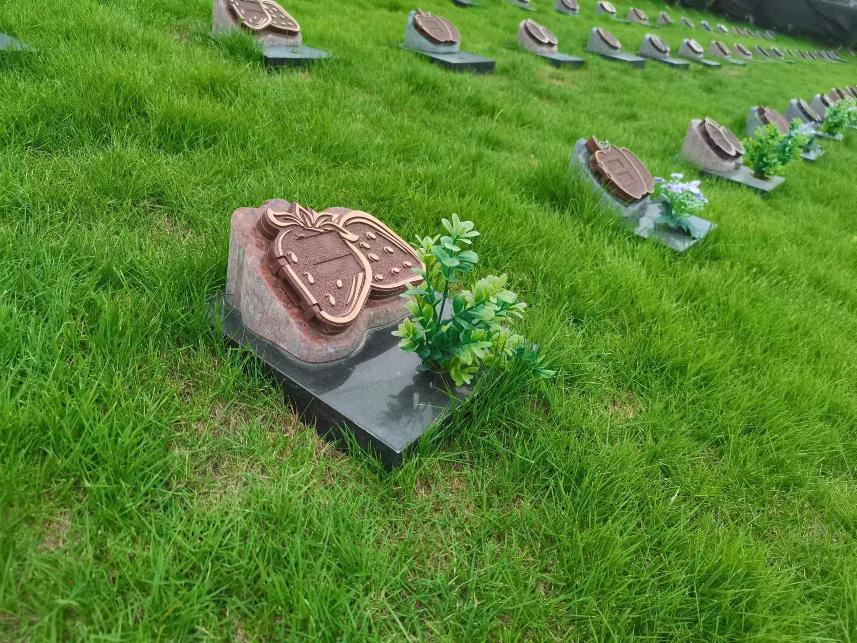 亿万先生MR·(中国集团)官方网站