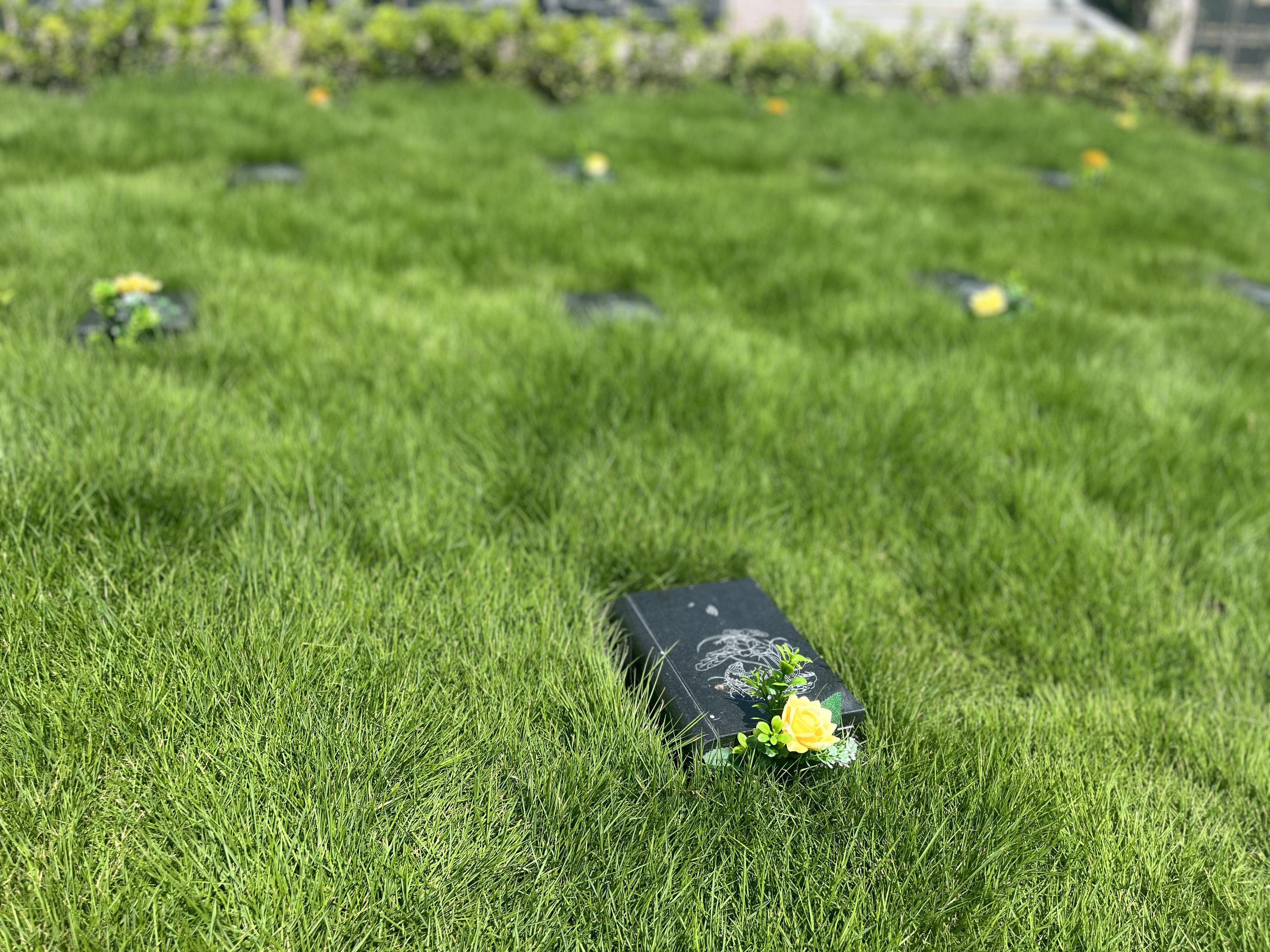 亿万先生MR·(中国集团)官方网站