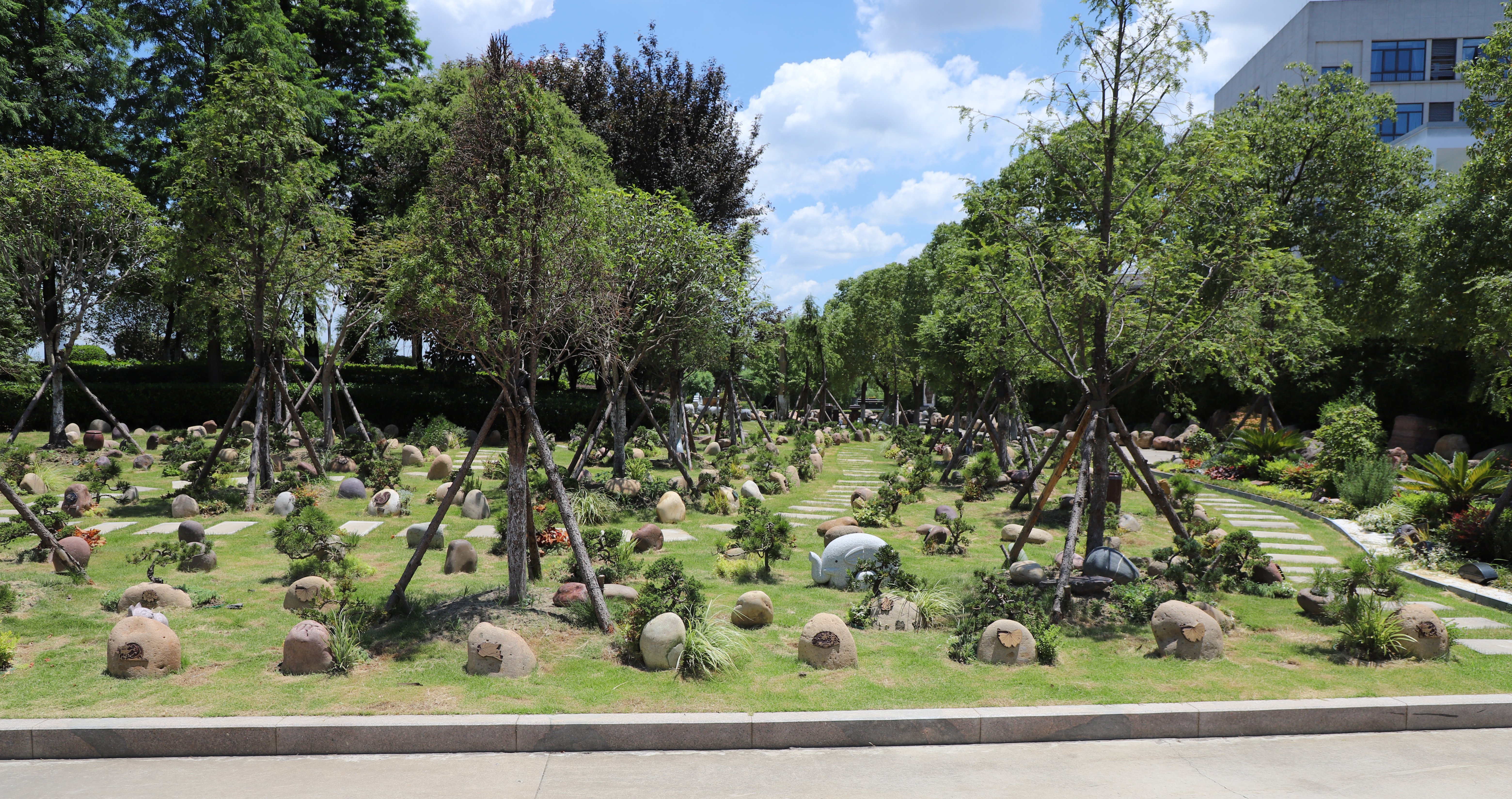 亿万先生MR·(中国集团)官方网站