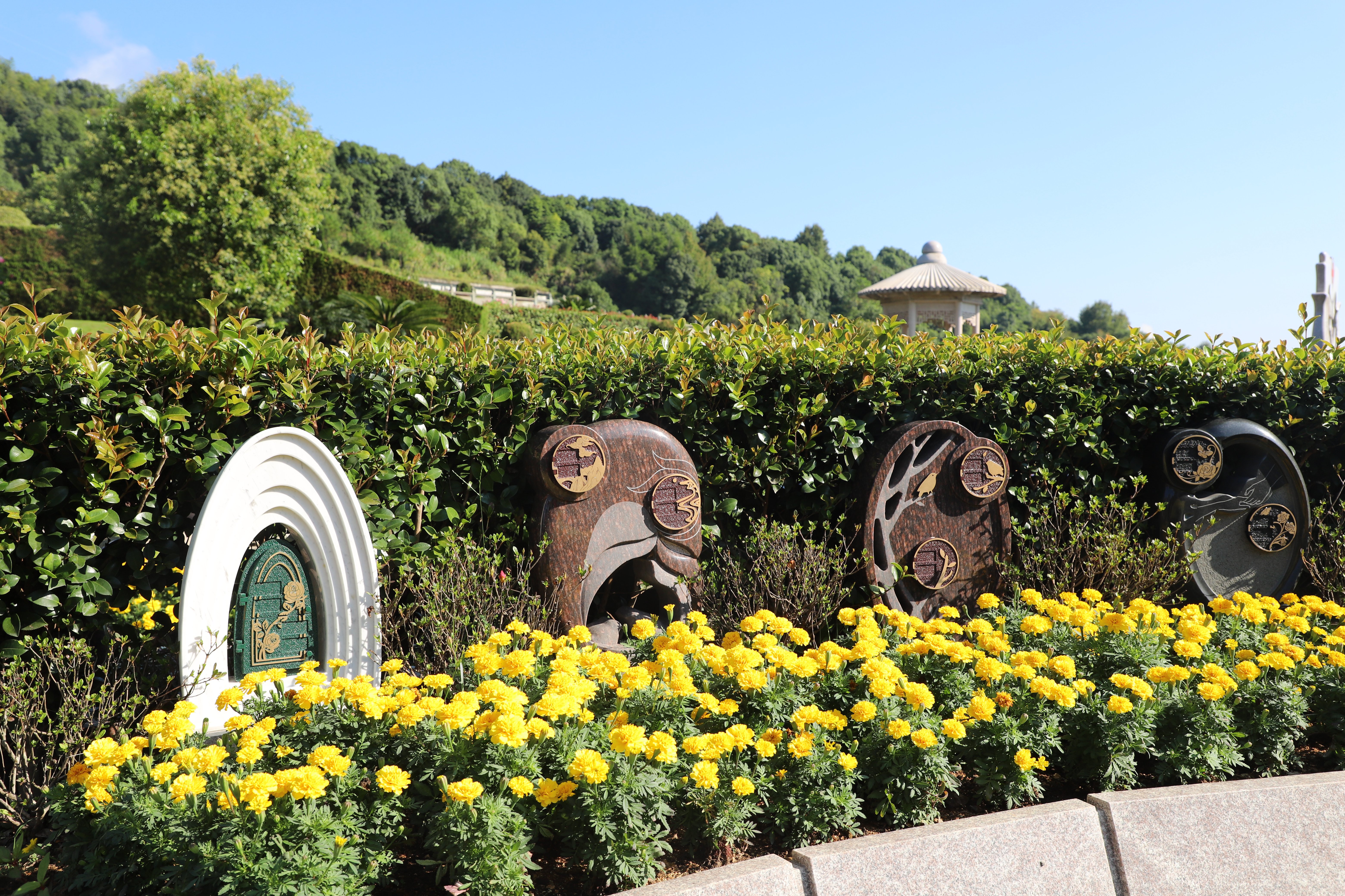 亿万先生MR·(中国集团)官方网站